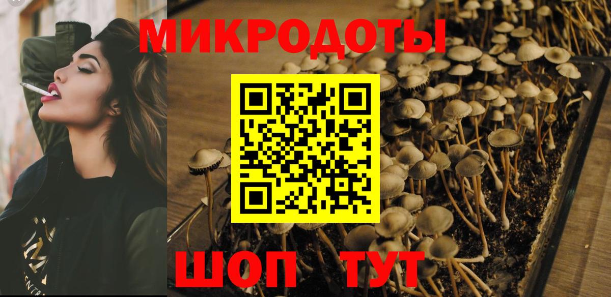 Галлюциногенные грибы мицелий  Вход с VPN  Шали 